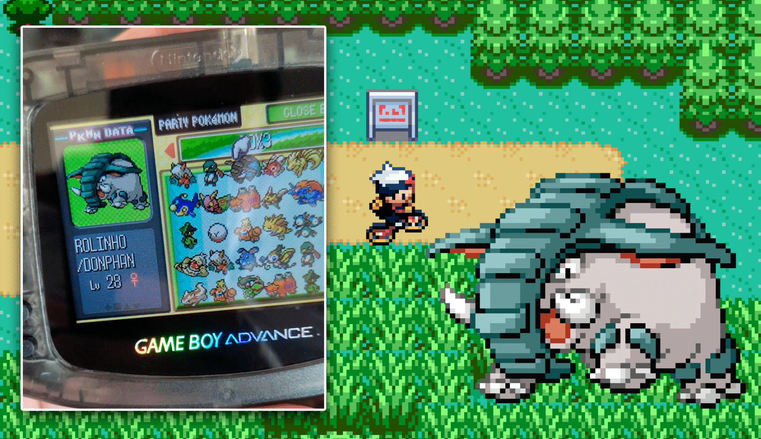 Pokémon: Conheça a história de Rolinho, a Donphan que só queria viajar ...